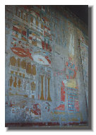 shinkobo037001.jpg